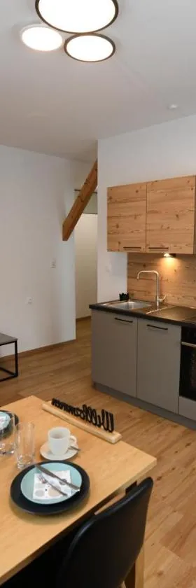 Ferienapartments 31erHaus，位于Hieflau的酒店