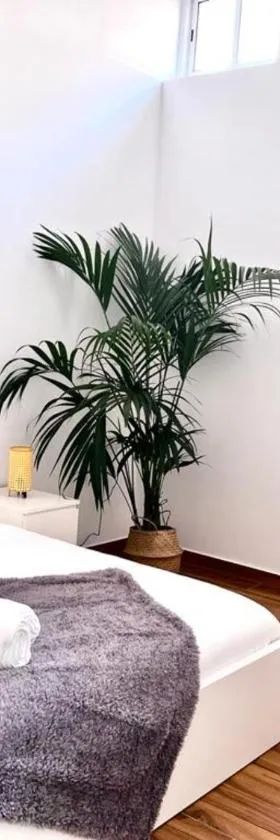 Jasmine L7，位于Armeñime的酒店