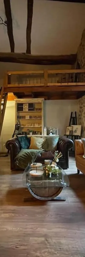 Maison Vigneron - Maison et Studio，位于Saint-Didier-sur-Beaujeu的酒店