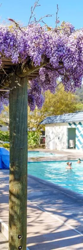 Calistoga Motor Lodge and Spa, a JdV by Hyatt Hotel，位于卡利斯托加的酒店