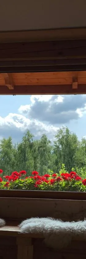 Apartament Hakerówka，位于斯克拉斯卡波伦巴的酒店