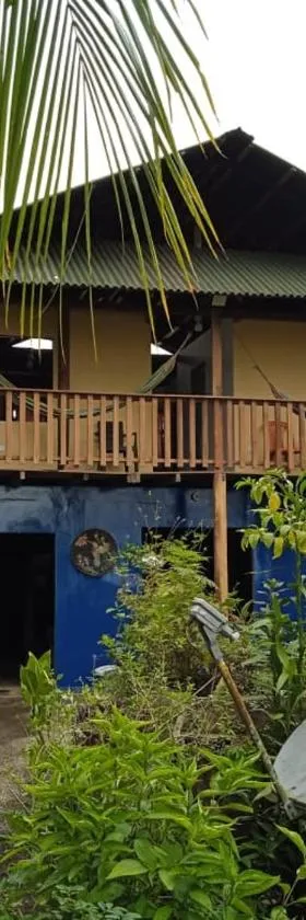 Casa Colibrí，位于努基的酒店