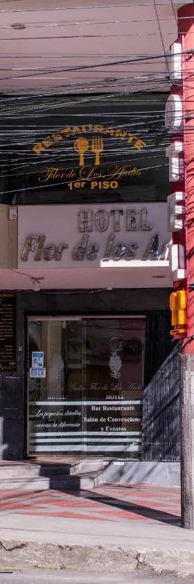 HOTEL FLOR DE LOS ANDES，位于图尔坎的酒店