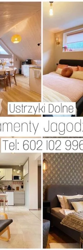 Apartamenty Jagodzianka - Jacuzzi, Sauna, Tężnia solankowa，位于下乌斯奇基的酒店