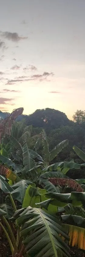 Villa Myakatra，位于Hell-Ville的酒店