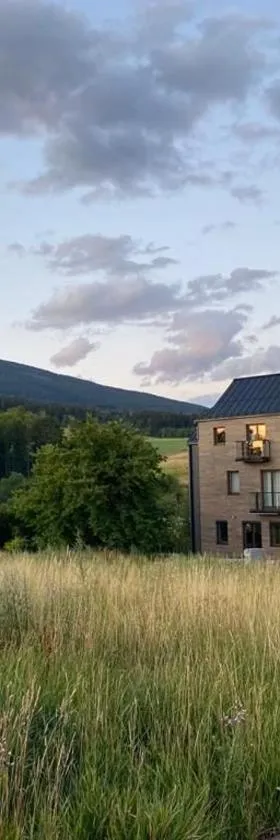 Horský Apartmán Černý Důl，位于Čistá的酒店