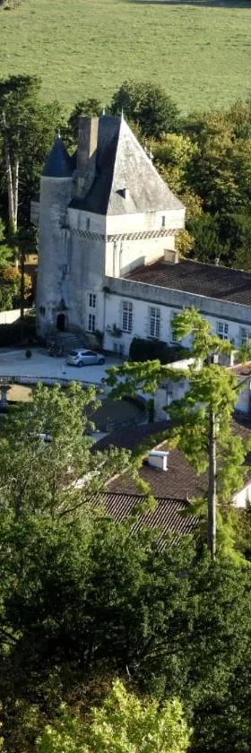 Chateau de Mornay，位于Saint-Pierre-de-lʼÎle的酒店