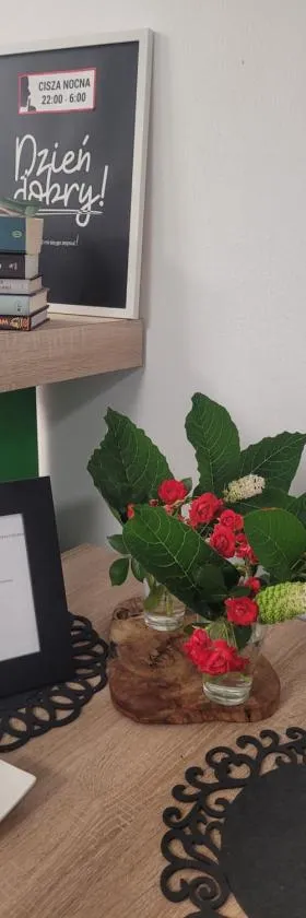 Pokoje na Warszawskiej，位于乔左维尔考普尔斯基的酒店