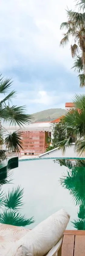 The Pink Palm Hotel - Adults Only，位于夏洛特阿马利亚的酒店