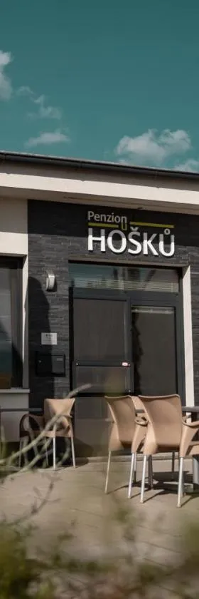 Penzion u Hošků，位于Vrbice的酒店