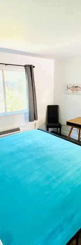 Brownsville Motel，位于Brownsville的酒店