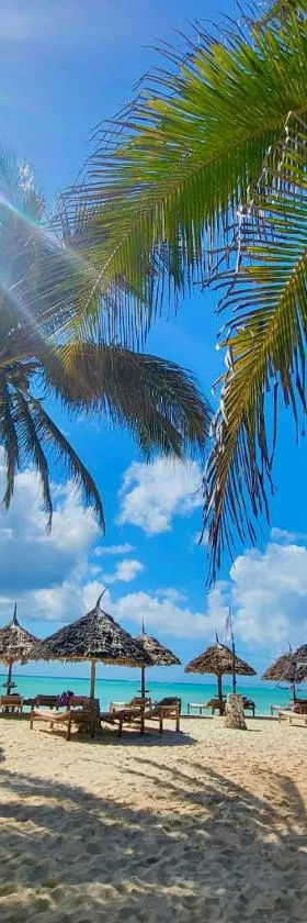 Mambo Ocean Resort，位于普瓦尼梅查恩加尼的酒店