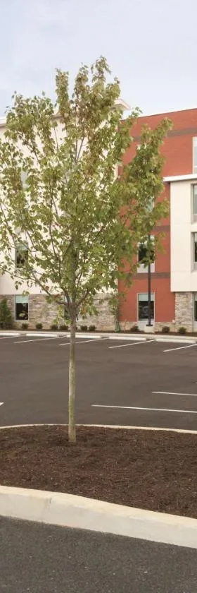 Home2Suites Pittsburgh Cranberry，位于蔓越莓乡的酒店
