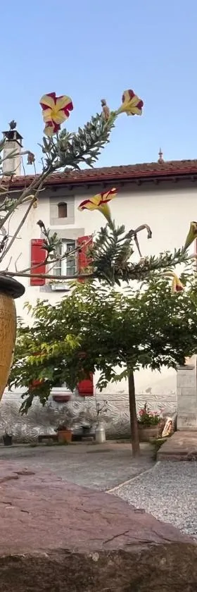 chambres d'hôtes Etche Iza，位于Hosta的酒店