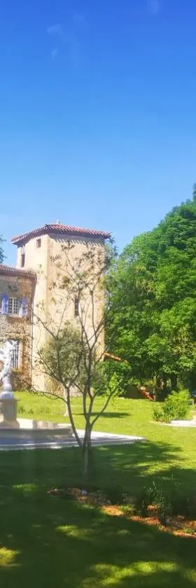 Château de Verdalle，位于Verdalle的酒店