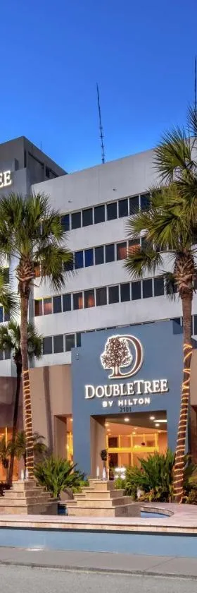 杰克逊维尔机场希尔顿逸林酒店，位于杰克逊维尔的酒店
