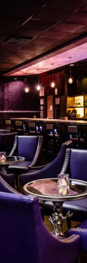 The Verve Boston Natick, Tapestry Collection by Hilton，位于内蒂克的酒店