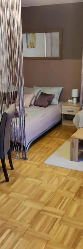 Studio apartman Vuković 4 zvjezdice，位于比佐瓦茨的酒店