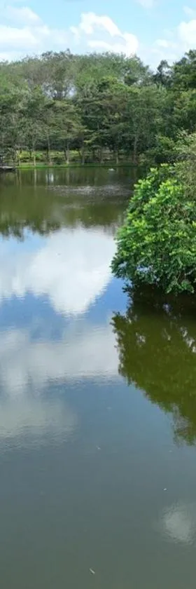 Lake Serenity Resort & Spa，位于Kuruwita的酒店