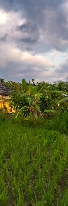 Pondok Carik Villa Manggis，位于曼格斯的酒店
