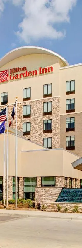 Hilton Garden Inn Dallas/Arlington South，位于阿林顿的酒店