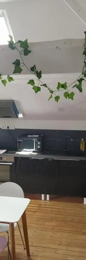 le loft de la place du marché，位于维沃讷的酒店