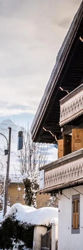 Nant Morzine，位于莫尔济讷的酒店