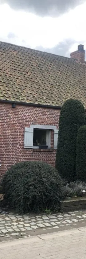 slapen bij alpacas，位于Beerse的酒店