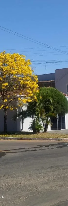 Pousada Flor Dos Ipês，位于特林达迪的酒店