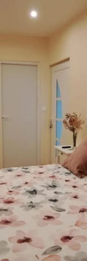 Chambre indépendante SDB privative à Amplepuis，位于Amplepuis的酒店