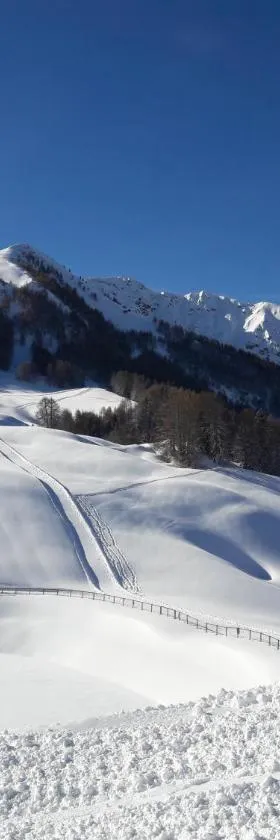 PLAGNE-SOLEIL Pied des pistes，位于La Plagne Tarentaise的酒店