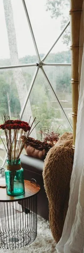 WATERFRONT LUXURY GLAMPING DOME，位于Rogersville的酒店