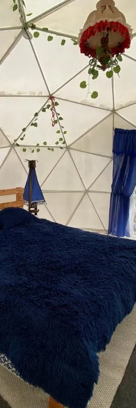 DOMO Roca Glamping Suesca，位于苏埃斯卡的酒店