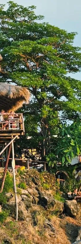 Monkey House Hostel，位于托拉的酒店