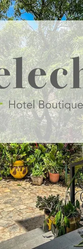 Helechos Hotel，位于科马亚瓜的酒店