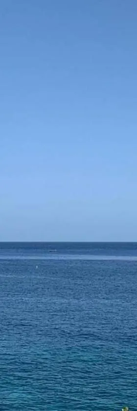 Irie Vibes Ocean View，位于尼格瑞尔的酒店