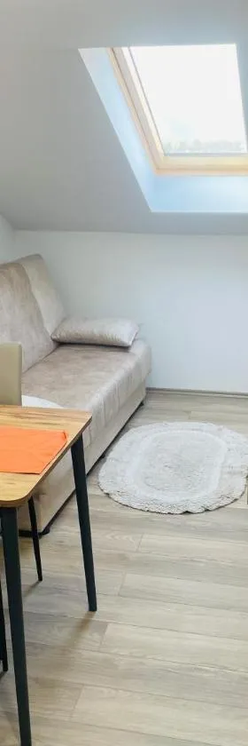Apartman Jela Srebrno jezero，位于Ostrovo的酒店