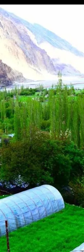 Summer and winter homestay Turtuk Youl，位于Turtok的酒店