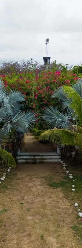 Coccoloba Beach Hostel，位于Dibulla的酒店