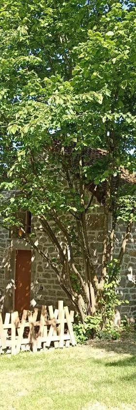 Domaine de la Comté - Hébergements insolites & Spa，位于Le Louverot的酒店
