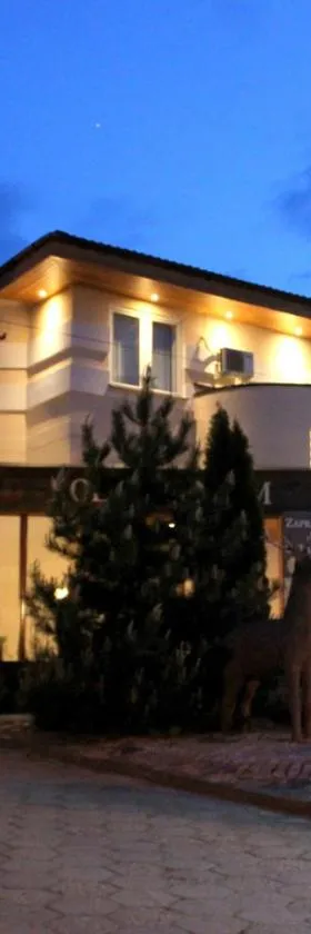 Hotel Pod Jeleniem，位于图霍拉的酒店