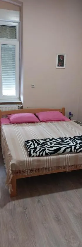 Apartman Central，位于鲁马的酒店