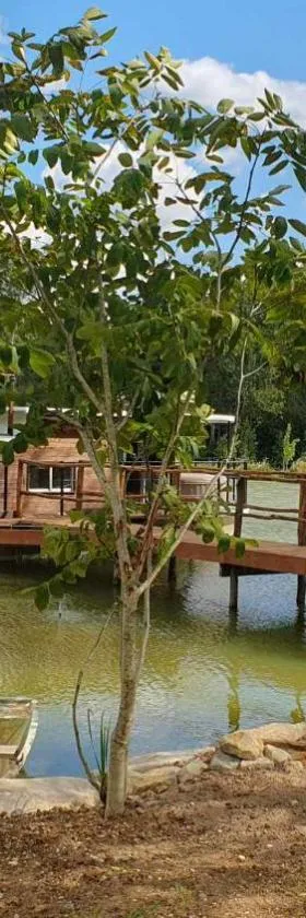 Péniche la belle daisy，位于Campsegret的酒店