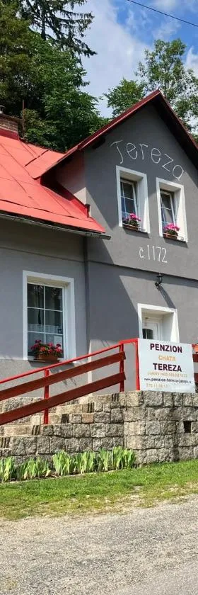 Chata Tereza，位于亚诺夫纳德尼索的酒店