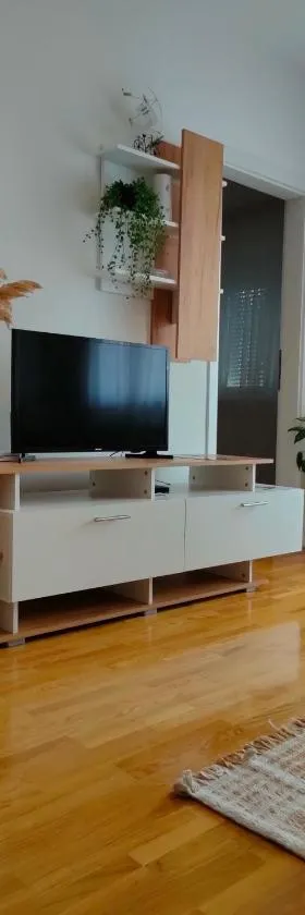 Apartman Aleksandar，位于兹沃尔尼克的酒店