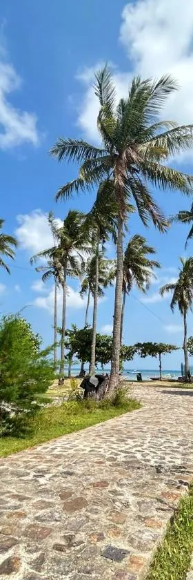 Dewa Daru Resort，位于卡里蒙贾瓦的酒店