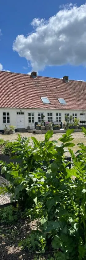 Landligt ophold på Midtgård，位于Vamdrup的酒店