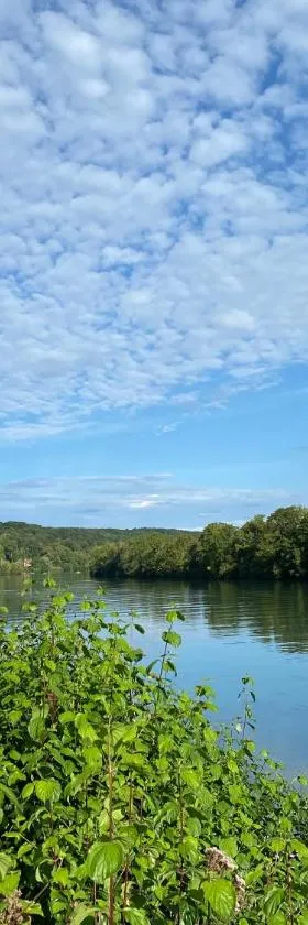 La Seine, entre rivière et forêt de Fontainebleau，位于布瓦乐洛伊的酒店
