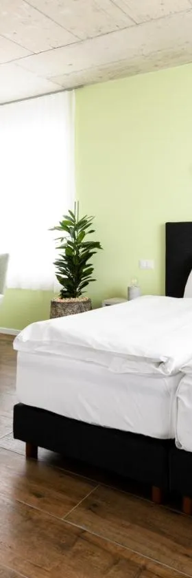 Partner Hotel AG Zofingen，位于措芬根的酒店