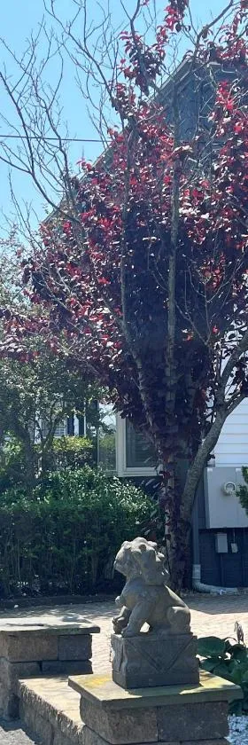 Ellery Hotel Provincetown，位于普罗温斯敦的酒店